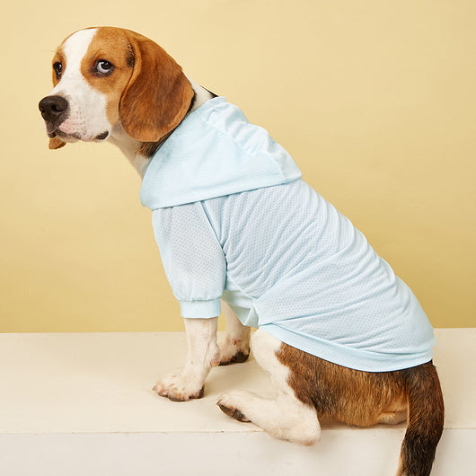 Ropa de Protección Solar para Mascotas - Colección Verano - Image 5