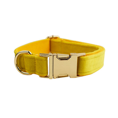 Collar para Perro de Terciopelo Suave - Image 23