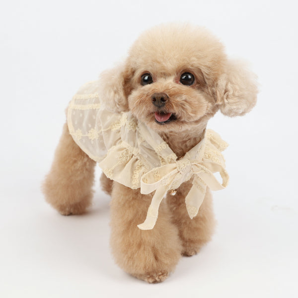 Vestido Fresco para Perro - Diseño Adorable Primavera Verano