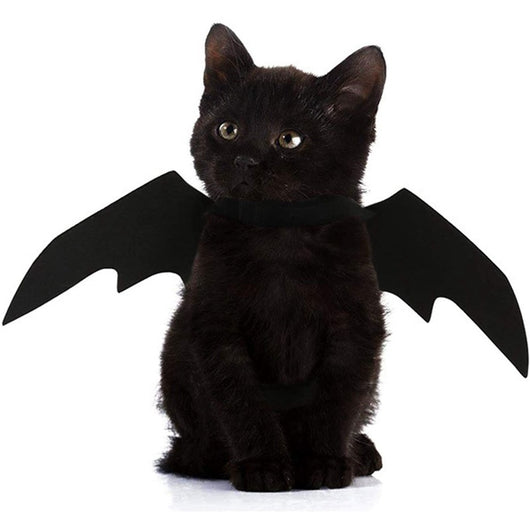 Alas de Murciélago para Mascotas - Disfraz Halloween Gato y Perro - Image 8