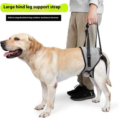 Arnés de Apoyo para Patas Traseras de Perros Lesionados - Image 11