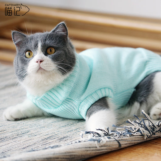 Suéter Gato Azul Británico para Otoño e Invierno - Image 7