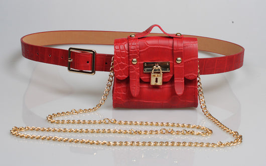 Bolso Pequeño con Cadena Metálica - Image 17