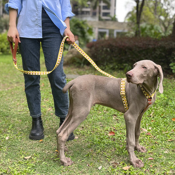 Arnés en I para Mascotas con Cuerda de Tracción