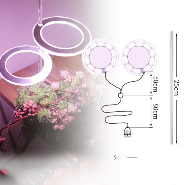 Lámpara LED de Espectro Completo para Plantas y Suculentas
