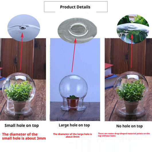 Cubierta Protectora Transparente para Bonsái y Paisajes en Miniatura - Image 9