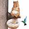 Decorative Squirrel and Bird Feeder for Garden