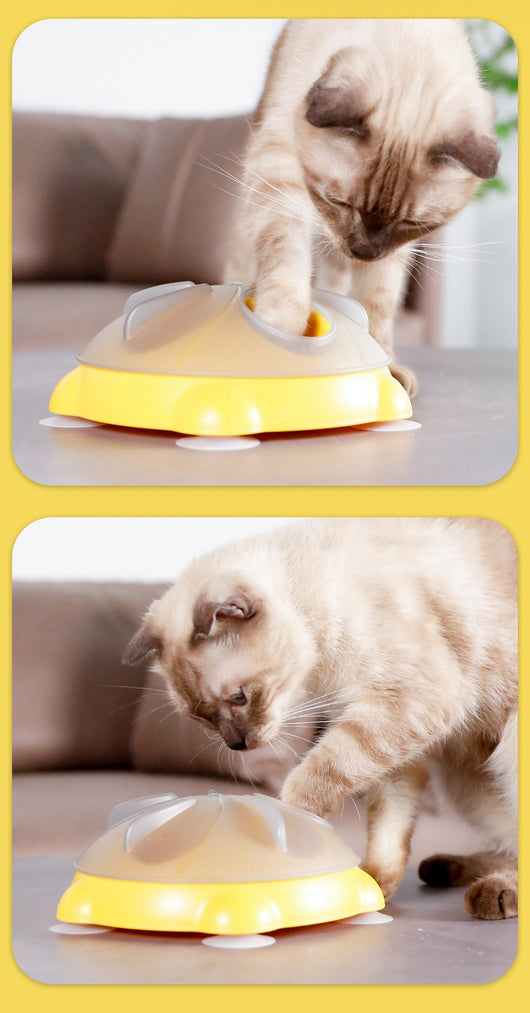 Plato Interactivo para Gatos con Almacenamiento de Snacks y Entretenimiento - Image 9