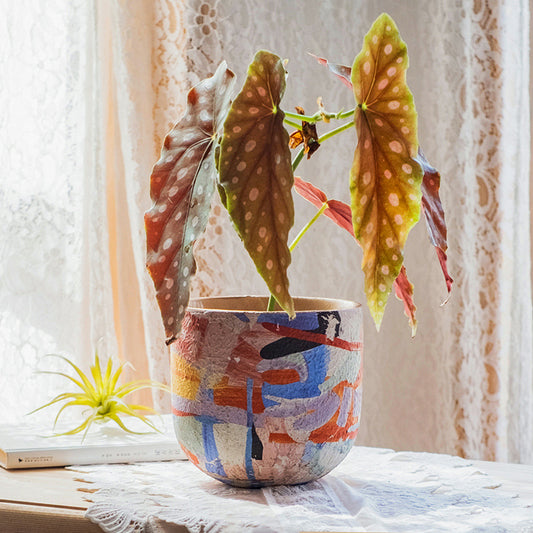 Maceta de Cerámica Matisse Mediana para Suculentas y Orquídeas