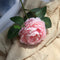 Rosada