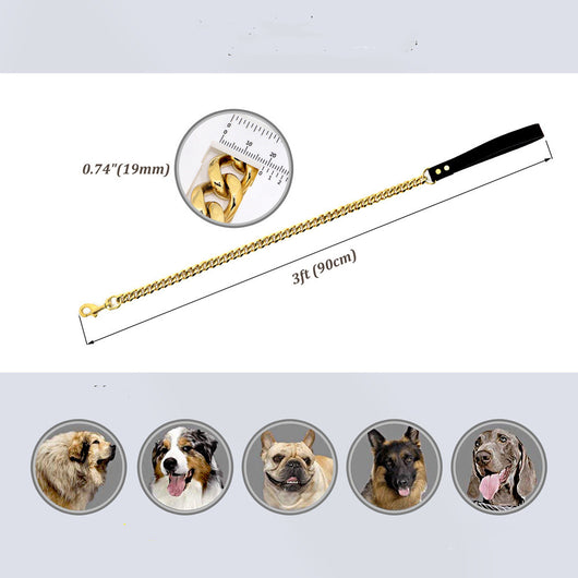 Correa para Perro de Acero Inoxidable Dorado 19mm - Resistente y Elegante - Image 4
