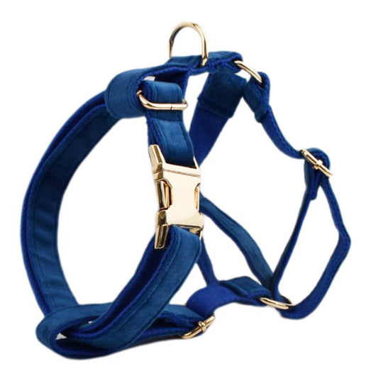 Collar Velvet para Mascota con Cuerda de Tracción - Image 21