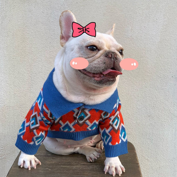 Ropa de Moda para Perros y Gatos - Colecciones Exclusivas