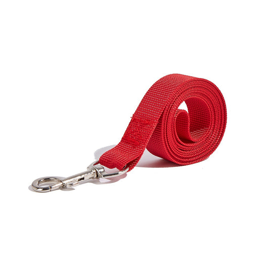 Correa Portátil con Asidero para Perros - Collar de Paseo Seguro - Image 10