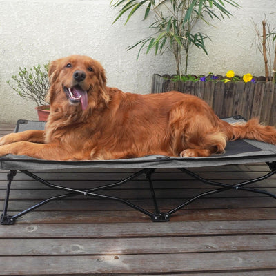 Cama Plegable para Perros de Doble Capa Grande - Image 14