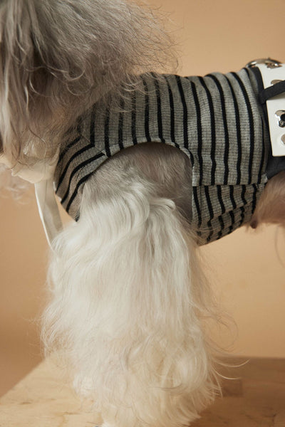 Vestido Rayado Primavera y Verano para Perros - Image 16