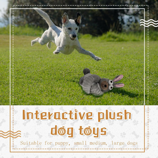 Juguetes para Perros con Sonido Crujiente y Peluche - Juegos Interactivos para Masticación y Entrenamiento - Image 9