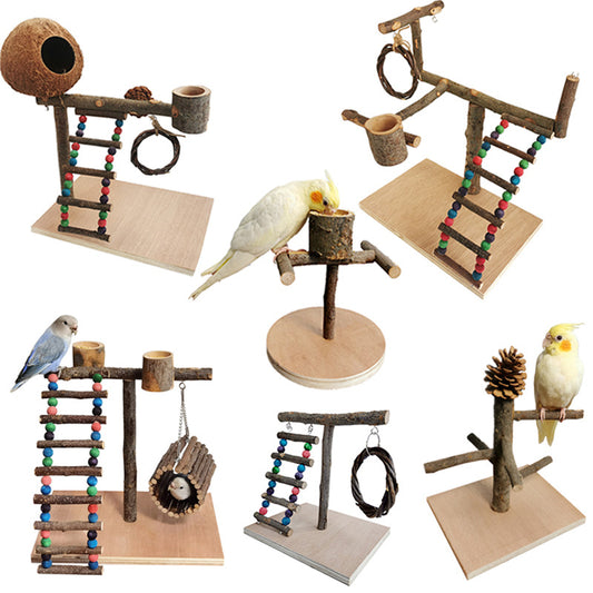 Solid wood parrot play stand with multiple perches, a colorful beaded ladder, a feeding cup, and a hanging vine toy.