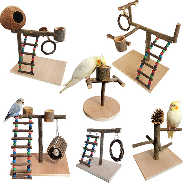 Solid wood parrot play stand with multiple perches, a colorful beaded ladder, a feeding cup, and a hanging vine toy.