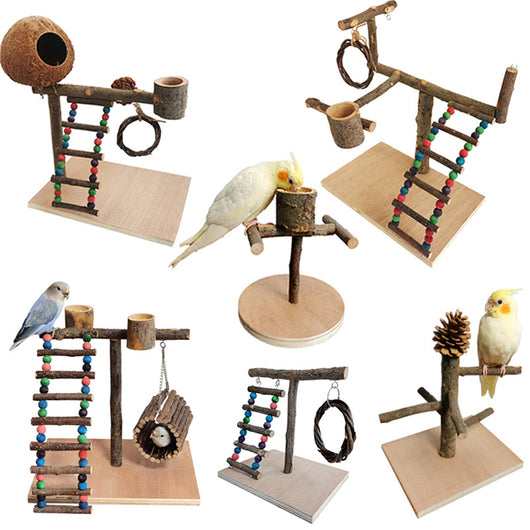 Solid wood parrot play stand with multiple perches, a colorful beaded ladder, a feeding cup, and a hanging vine toy.