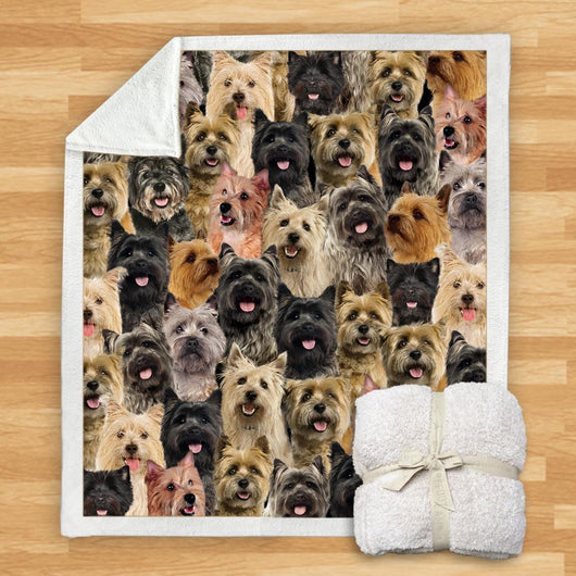 Manta Franela Estampada para Perros - Image 25