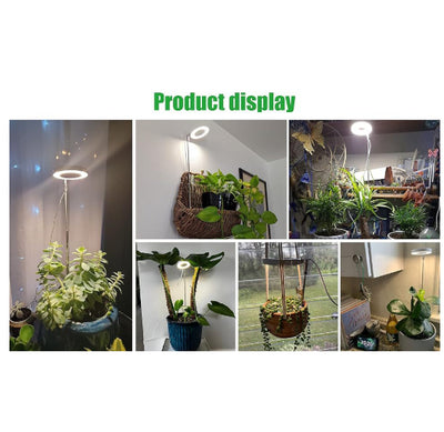 Luz LED de Crecimiento para Plantas Suculentas y Bonsái con Temporizador y Atenuador - Image 9