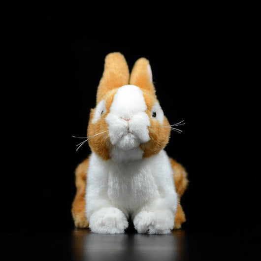 Peluche Adorable Conejo Holandés - Image 9