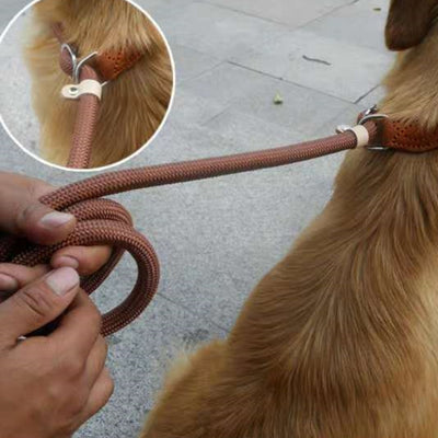 Correa de Nylon para Perros con Agarre Ergonómico