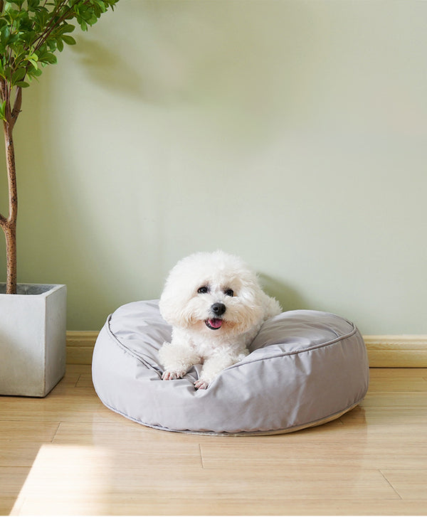 Cama Cómoda para Perros y Gatos - Sofá Acogedor con Manta Suave