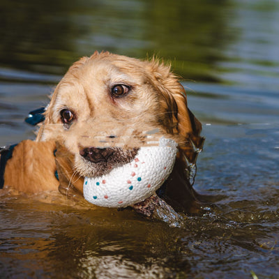 Golden retriever dog swimming in water, holding a white, textured, rugby-shaped pet chewing toy with pink and blue dots. - Image 6