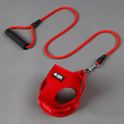 Correa y Collar para Perro - Control Seguro y Cómodo - Image 9