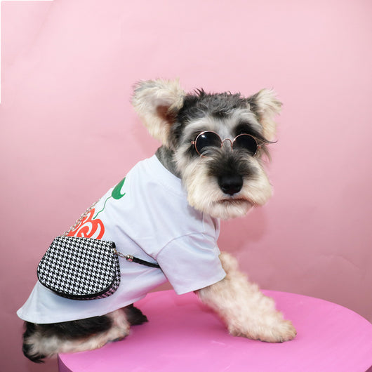 Mochila de Transporte para Mascotas Pequeñas - Image 9