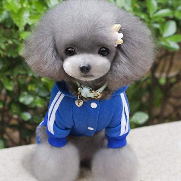 Sudadera con Capucha a Rayas para Mascotas
