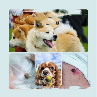 Pink pet collar accessory in front of a circular flea and tick collar label with two dogs. - Image 8