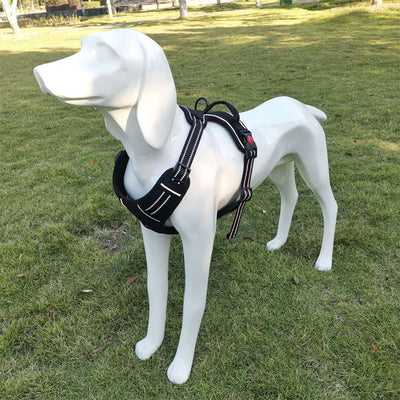 Arnés de Tracción para Pecho de Perro con Correa - Image 9