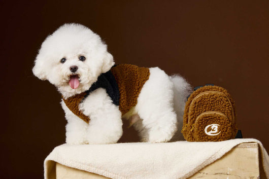 Chaleco de Terciopelo Acolchado Schnauzer Bichon sin Mangas - Image 5