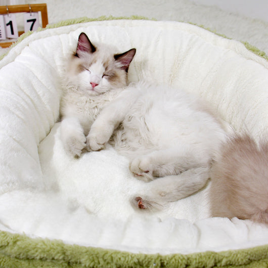 Cama Redonda Acogedora para Gatos y Perros Pequeños - Nido Térmico Suave - Image 4