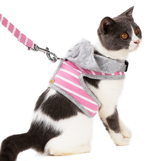 Chaleco arnés para gato con capucha para paseos - Image 16