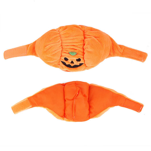 Sombrero de Calabaza Halloween para Mascotas - Disfraz Divertido y Adorable - Image 5
