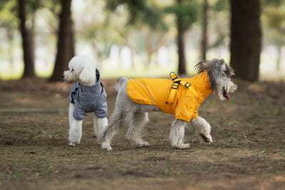 Impermeable para Perros Pequeños y Medianos con Arnés Integrado - Image 20