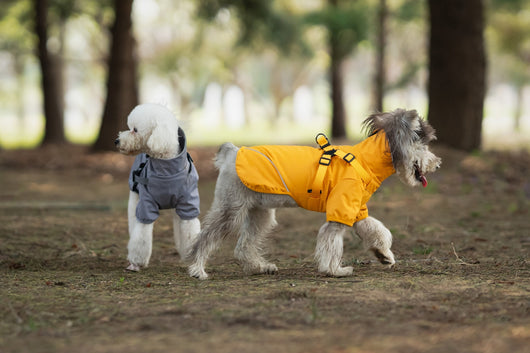 Impermeable para Perros Pequeños y Medianos con Arnés Integrado - Image 20