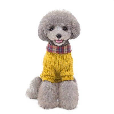 Ropa Protectora para Perros y Gatos contra el Viento - Image 14
