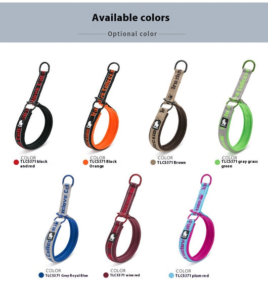 Collar Ajustable para Perro Truelove con Tela de Buceo Reflectante - Image 31