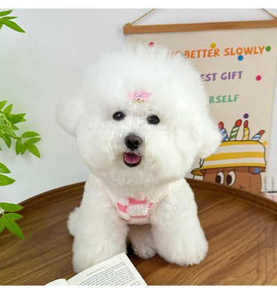 Chaleco de Tracción VIP para Mascotas Pequeños - Image 7