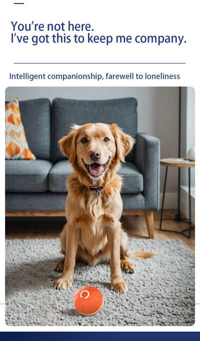 Pelota Inteligente de Rebote por Gravedad para Perros - Image 9