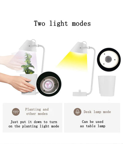 Sistema de Cultivo Hidropónico Automático - Image 8