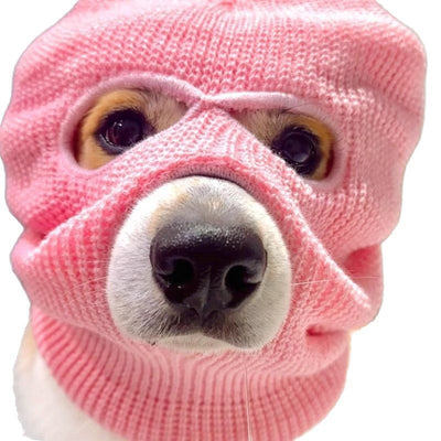 Gorro Creativo para Perro Corgi - Diadema Divertida para Mascotas - Image 5