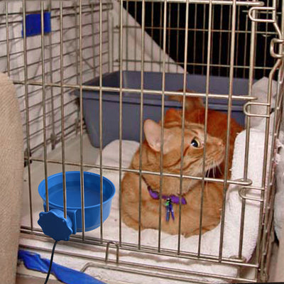 Comedero y Bebedero Colgante para Perros y Gatos con Aislamiento Térmico - Image 11