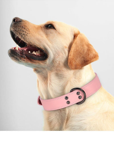 Teal leather pet collar with white stitching, dark metal buckle, and D-ring, displayed on a brown surface. - Image 12