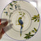 Juego de Vajilla de Porcelana Loro